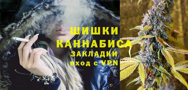 СК Бронницы