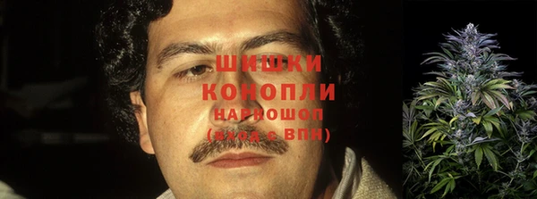 СК Бронницы