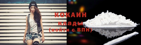 СК Бронницы